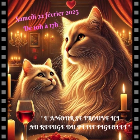 SPA Chat St Valentin